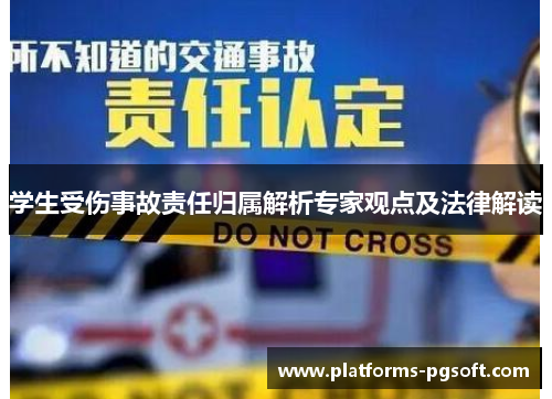 学生受伤事故责任归属解析专家观点及法律解读
