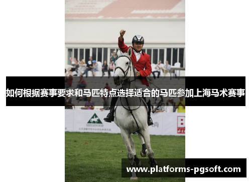 如何根据赛事要求和马匹特点选择适合的马匹参加上海马术赛事 如何根据赛事要求和马匹特点选择适合的马匹参加上海马术赛事